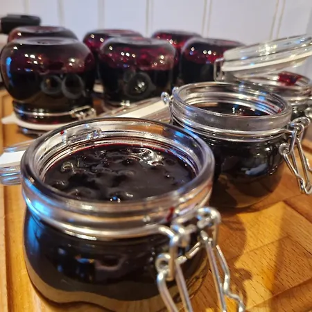 Varanger View * Vardo